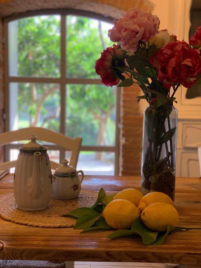 Il Giardino Dei Limoni Bed & Breakfast Suvereto Dış mekan fotoğraf